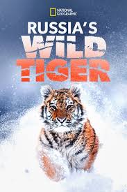مستند ببر وحشی روسیه / Russia’s Wild Tiger 2022