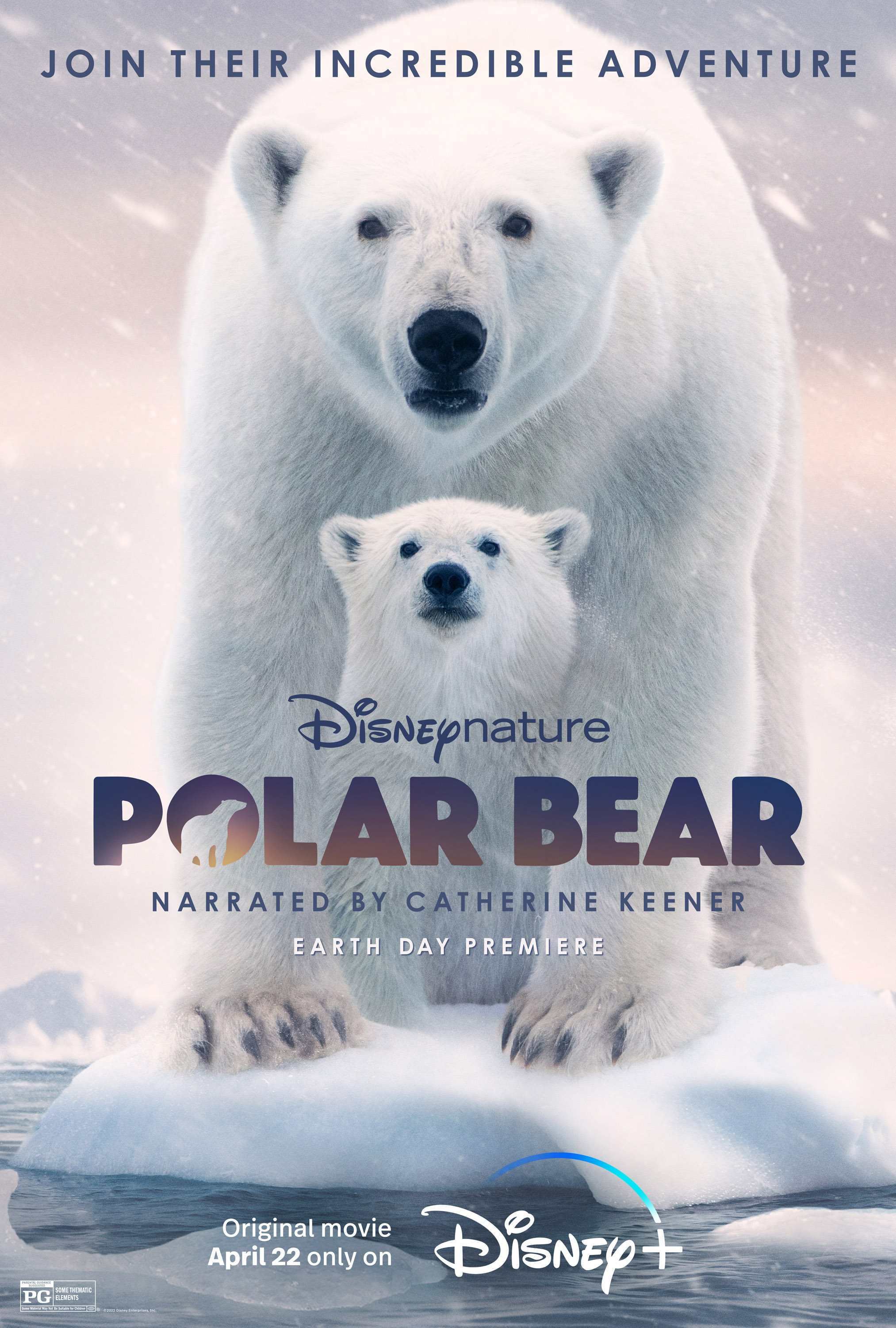 مستند خرس قطبی / Polar Bear 2022