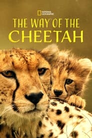 مستند روش چیتا / The Way of the Cheetah